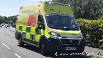 Missing child, 5, found dead in water as police confirm tragedy