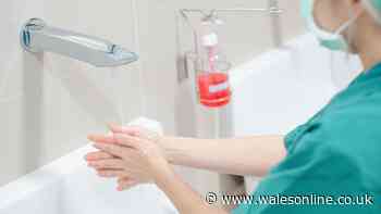 Nurse-approved hand cream perfect for 'heavy duty jobs' now 25% off