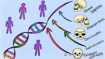 The ghost ancestors hiding in your DNA: Scientists uncover traces of two mysterious human relatives we've never found