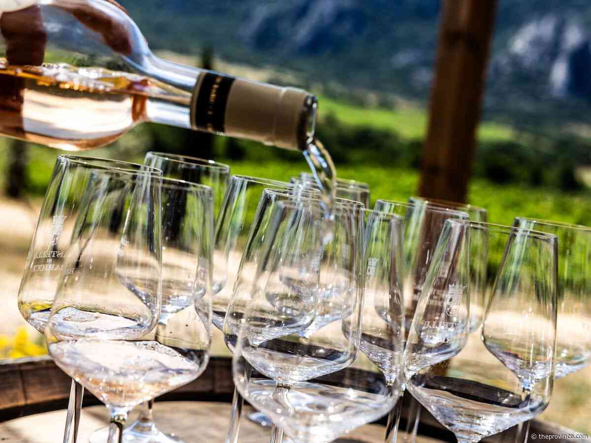 Wine Guy: Three great local wines to toast B.C. Day