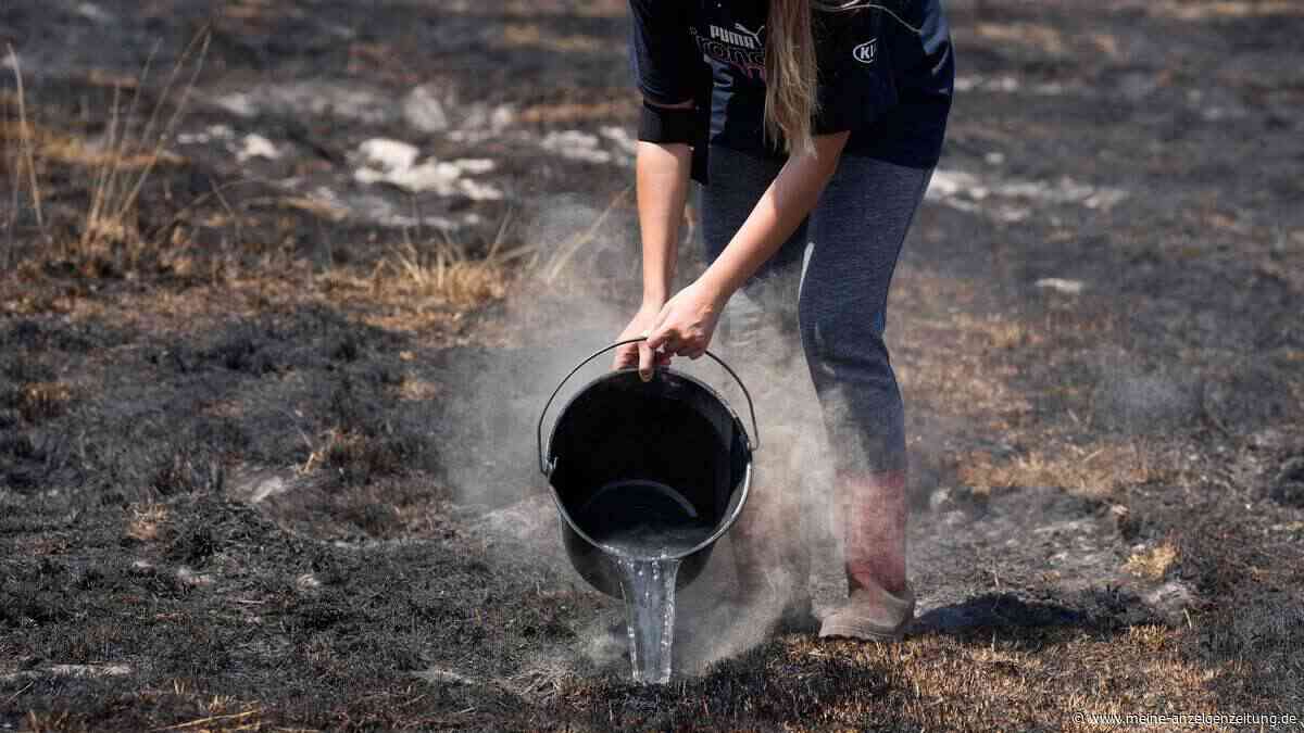„Wir machen uns Angst“: Zombiefeuer schwelen nach Frankreich-Waldbrand tief unter der Erde