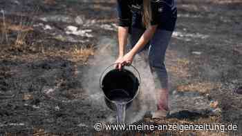 „Wir machen uns Angst“: Zombiefeuer schwelen nach Frankreich-Waldbrand tief unter der Erde
