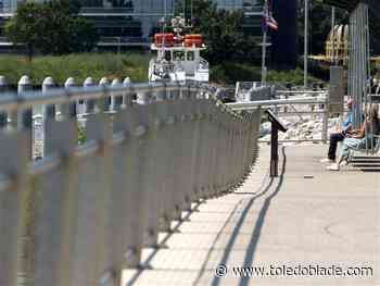 Photo gallery: Lunchtime by the Maumee River