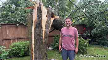 Trees downed, thousands without power after wild winds, lightning shake southern Manitoba 'like an earthquake'