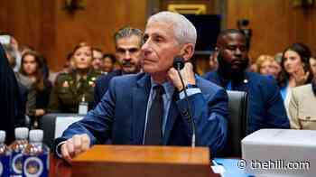 Fox News legal contributor: Senate will lose Fauci contempt fight