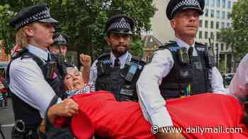 Palestine Action co-founder given permission to challenge decision to ban group - as police arrest 77 supporters at protest outside court