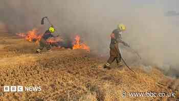 Fire crews tackle three field fires in one day