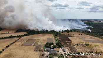 'Summer holidays quickly turned to horror in scenes from disaster movies as wildfire ravaged Suffolk'