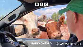 Farmwatch