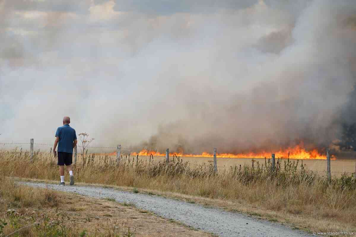 New wildfires rage in east London after firefighters suffer busiest day of the year