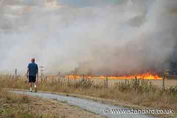 New wildfires rage in east London after firefighters suffer busiest day of the year