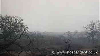 Suffolk wildfire: Smouldering aftermath captured on camera as blaze continues to spread