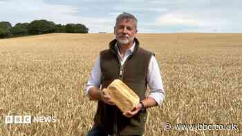 'At 1p profit per loaf, stores need to step up'