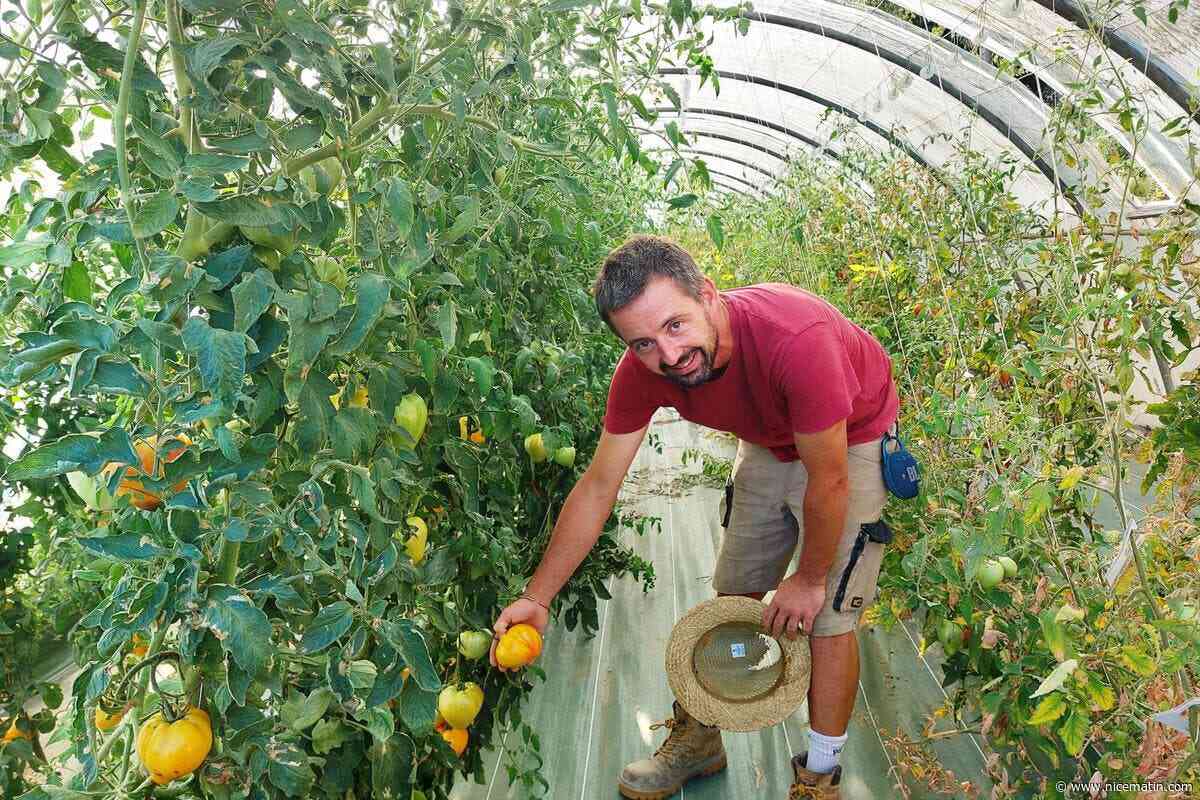 « J’investis petit à petit » : dans l’arrière-pays niçois, Benoit Veber a choisi de s’installer comme maraîcher bio malgré le malaise agricole