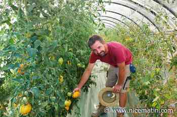 « J’investis petit à petit » : dans l’arrière-pays niçois, Benoit Veber a choisi de s’installer comme maraîcher bio malgré le malaise agricole
