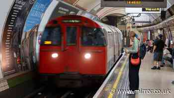 Concertgoers trapped on sweltering tube for 90 mins after trespasser jumps on track