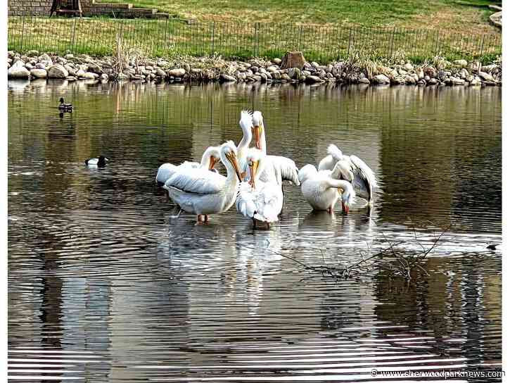 Long weekend leisure in Strathcona County