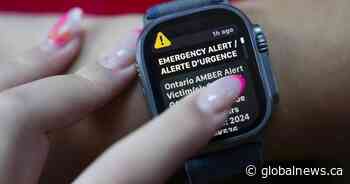 New Brunswick advocates join call for emergency alerts for vulnerable missing people