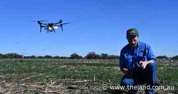 Eyes in the sky help drive efficiency and sustainability at Delungra farm