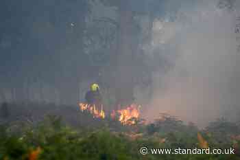 Firefighters tackling Suffolk wildfire making ‘good progress’