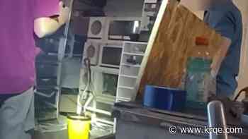 52 venomous snakes found at home of suspected drug dealer in Albuquerque