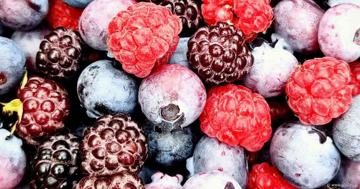 Publix recalls GreenWise Organic frozen berries due to potential E. Coli