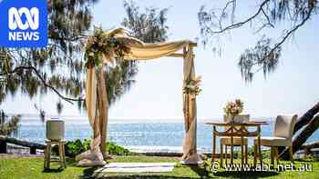 Council charges couples 'Noosa tax' to marry by the beach