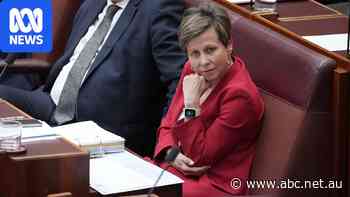 Live: Labor to crack down on NDIS providers claiming banned services