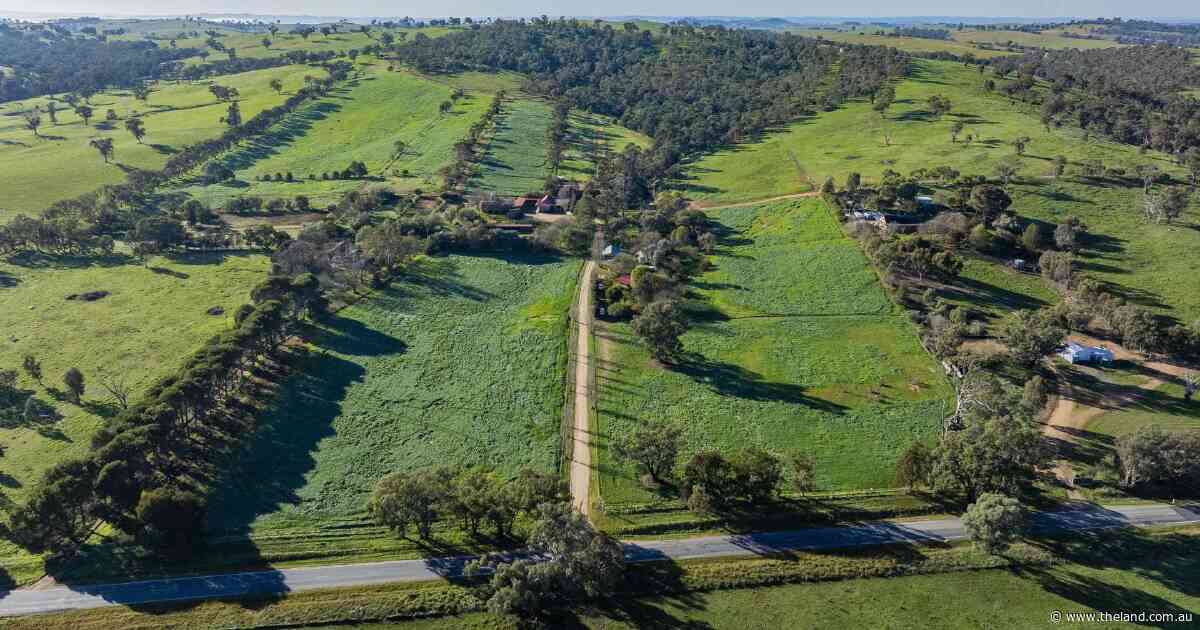 Riverdene a top quality property with close-to-city lifestyle benefits