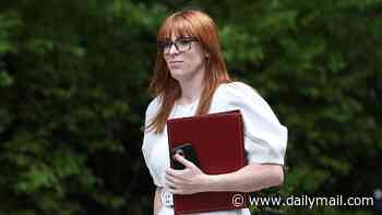Angela Rayner 'will miss Labour's housing target of 1.5MILLION homes'