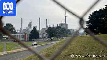 Paper mill cuts 84 jobs, blaming Victorian government for lack of timber