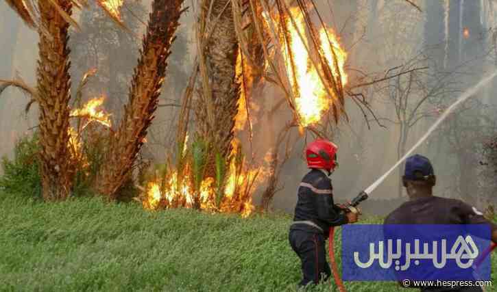 نشرة تحذر مناطق من خطر الحرائق
