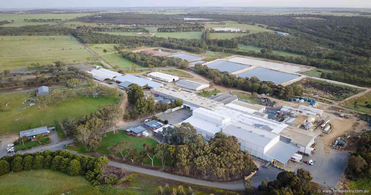 No bonus payment for WAMMCO producer members as costs, global tensions bite
