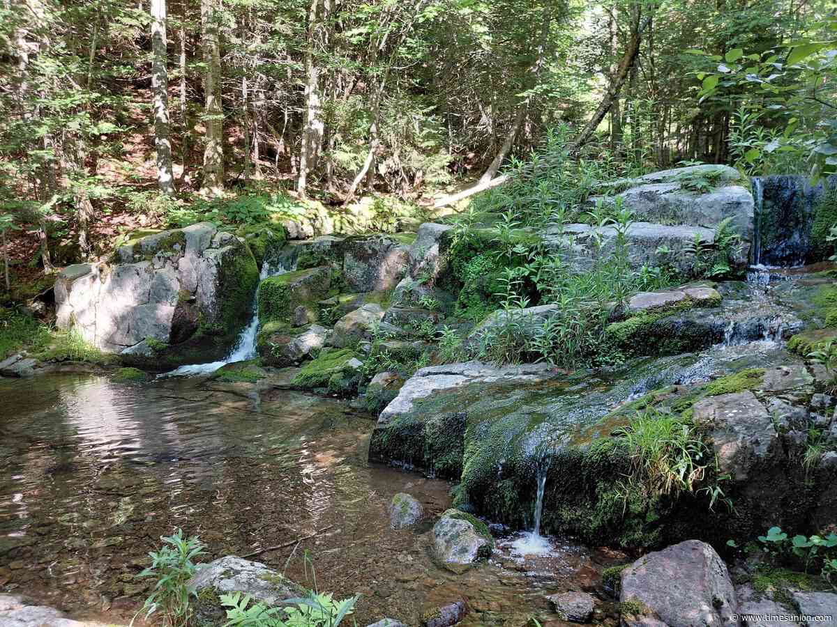Scott: Finding perfection (and blueberries) in the Adirondack High Peaks