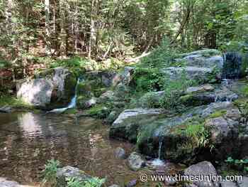 Scott: Finding perfection (and blueberries) in the Adirondack High Peaks