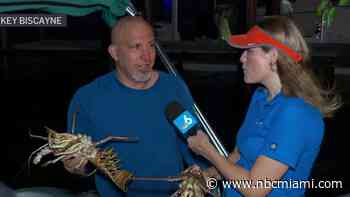 Hunter roughs wind, sargassum to get his catch on first day of spiny lobster sport season