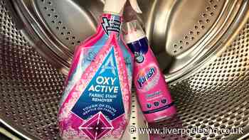 I tried Vanish and Astonish stain removers on my clothes — one was best