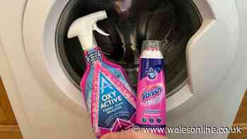 I compared Vanish and Astonish stain removers — the winner was clear
