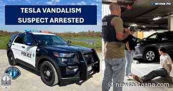 Irvine man facing felony charges after being arrested for spray‑painting 13 Teslas