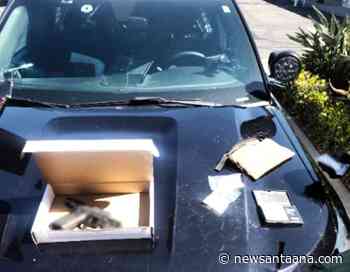 OC felon arrested with meth, drug sales packaging and unregistered gun