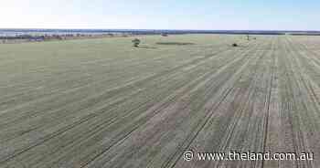 Impressive 'Golden Triangle' grain aggregation hits the market | Photos