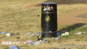 Park bins contain 'about 80% of household waste'