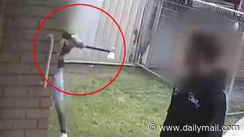 The moment axe-wielding men target woman's home caught on camera