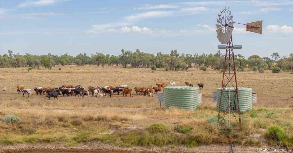 Will El Nino spell disaster in your district? History could hold the answer