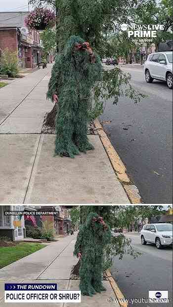 Police Officer catches distracted drivers by dressing in shrub