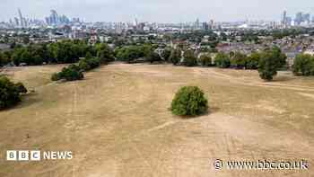 More than half of England in drought, Environment Agency declares
