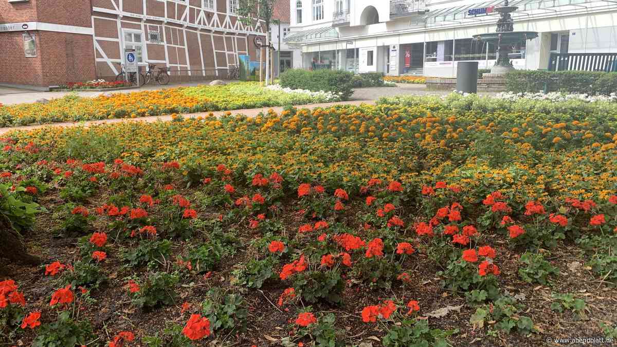 Stadtgrün: Gärtnerverband reagiert empört auf Forderung der Grünen