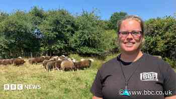'Cows get stressed by the heat just like humans'