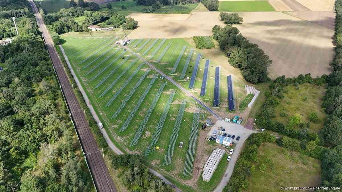 Solarpark entsteht: 9000 Solarmodule für den Peiner Nordkreis