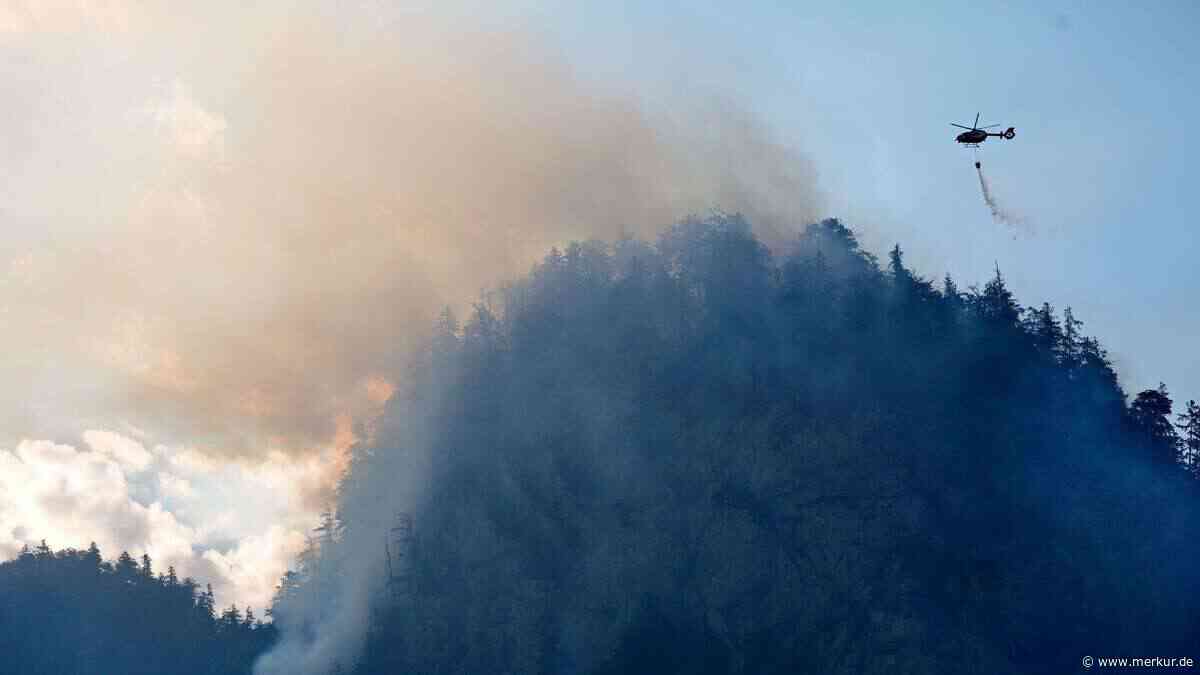 Hohe Waldbrandgefahr: Dringende Bitte des Landratsamtes